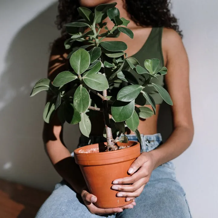 Growth Pains: The Hidden Struggle Behind Every Great Transformation
