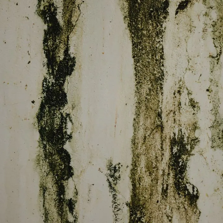 Before a Small Leak Becomes a Major Loss: What Waterleaks Wants Every Property Manager to Know